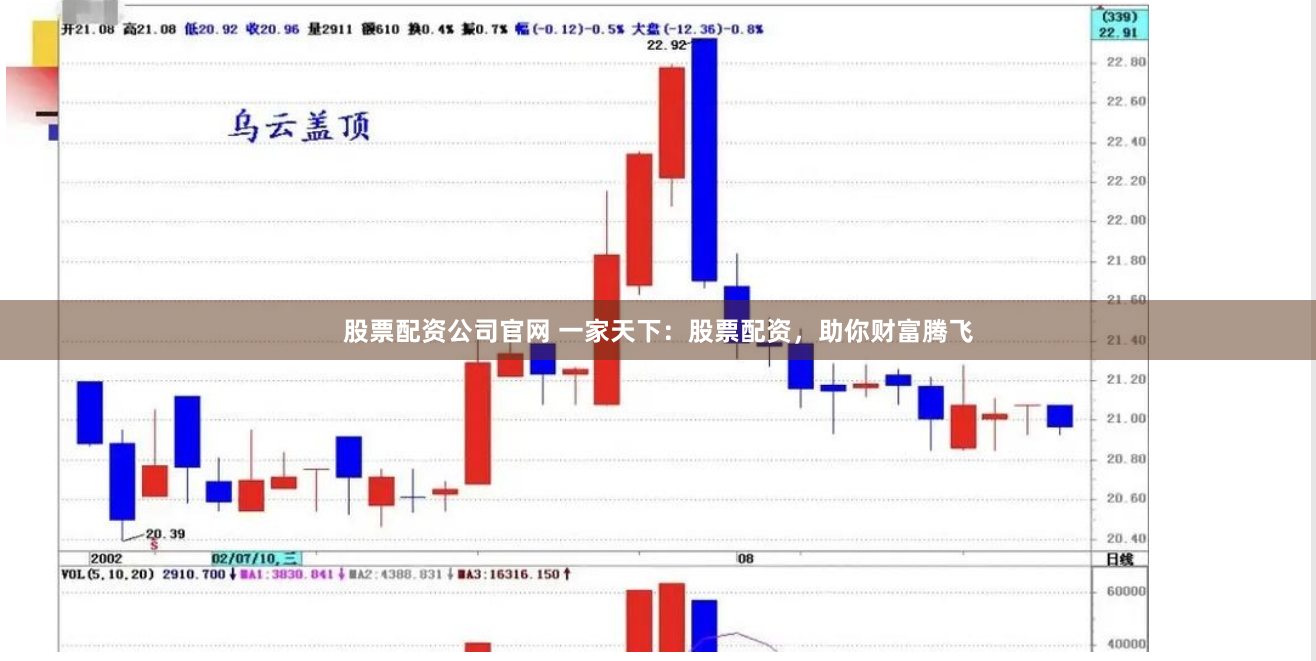 股票配资公司官网 一家天下：股票配资，助你财富腾飞