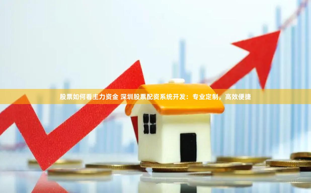 股票如何看主力资金 深圳股票配资系统开发：专业定制，高效便捷
