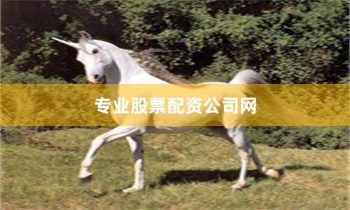 专业股票配资公司网
